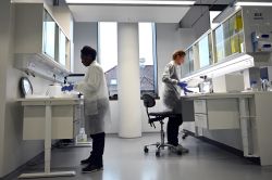 Le cancer du col de l'utérus éradiqué au Danemark d'ici 2040
