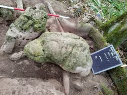 Une ancienne cité maya révélée au Guatemala après 2.800 ans