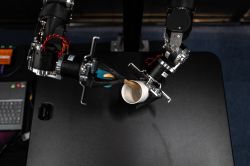 Tokyo: La course aux robots humanoïdes