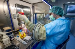 En Suisse, une nouvelle peau fabriquée pour les grands brûlés de Crans-Montana