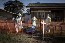 L'OMS déclare une urgence internationale pour l'épidémie d'Ebola qui frappe la RDC
