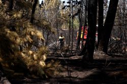 Incendies: reprises de feu dans le sud-est de la France, nouvelles évacuations près de Madrid