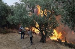 Incendies en Grèce: quelque 8.000 personnes évacuées en Crète