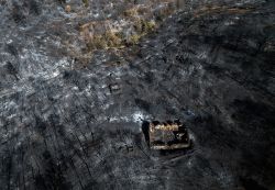 Incendies en Europe: les derniers développements
