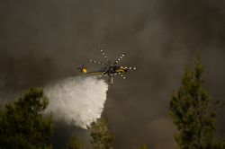 Grèce: nouvel incendie près d'Athènes attisé par de forts vents
