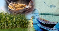 Gaz et engrais en crise: l’impact sur ce qu’on mange demain