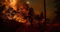 Antalya sous haute surveillance face aux feux de forêt