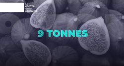 9 tonnes exportées: le paradoxe de la figue libanaise