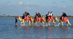 Djerba face au ralentissement des réservations estivales