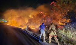 L'incendie dans la forêt de Roumieh maîtrisé