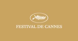 L'effroi à Cannes: le destin brisé d’une photojournaliste de Gaza
