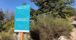 Le sentier des cèdres du roi Charles III ouvre au Liban
