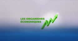 Budget 2026: le patronat rejette la «taxe de 3%» jugée injuste et inflationniste