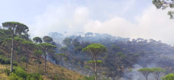 Ras el-Metn: deux incendies ravagent de vastes zones forestières