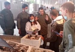 Municipalité de Beyrouth : Au marché aux poissons, des produits conformes aux conditions de sécurité alimentaire et d’autres pas