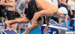 Natation: Dressel accélère, McIntosh devance Ledecky sur 400 m à l'US Open