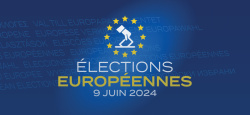 Les élections européennes, sociologie d’une mutation