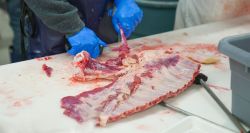 Viande plus chère: jusqu’où ira la hausse?