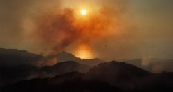 Catastrophe environnementale: des incendies ravagent la Syrie et la Turquie