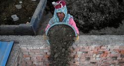 En Inde, les engrais naturels font leur retour