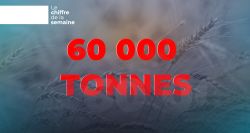 Pénurie de blé au Liban : la peur est là, les stocks aussi