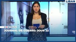 Journal de guerre: Jour 22