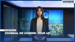 Journal de guerre: Jour 48