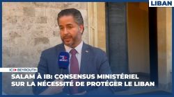 Salam à IB: Consensus ministériel sur la nécessité de protéger le Liban