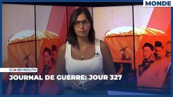 Journal de guerre: Jour 327