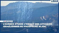 L’AUBNCC étudie l’impact des attaques israéliennes au phosphore blanc