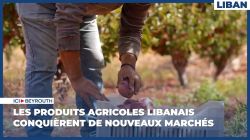 Les produits agricoles libanais conquièrent de nouveaux marchés