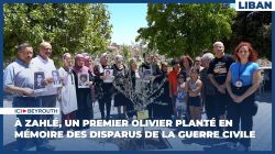 À Zahlé, un premier olivier planté en mémoire des disparus de la guerre civile