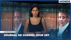 Journal de guerre: Jour 267