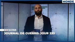 Journal de guerre: Jour 233