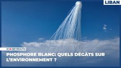 Phosphore blanc: quels dégâts sur l’environnement?