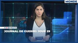 Journal de guerre: Jour 29