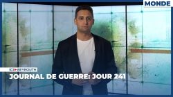 Journal de guerre: jour 241