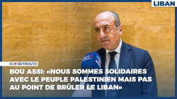 Bou Assi: «Nous sommes solidaires avec le peuple palestinien mais pas au point de brûler le Liban»