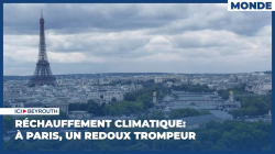 Réchauffement climatique: à Paris, un redoux trompeur