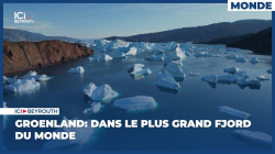 Groenland: dans le plus grand Fjord du monde