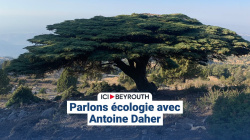 Parlons écologie avec Antoine Daher