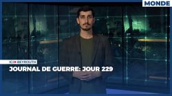 Journal de guerre: Jour 229