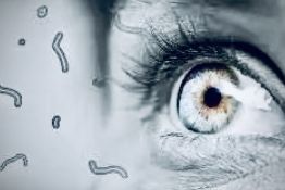 Les myodésopsies ou mouches volantes: phénomène banal ou urgence oculaire?