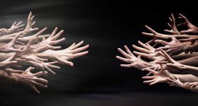 L’homme n’a pas d’instinct, la femme non plus