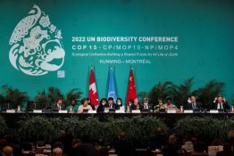 COP15: l'inattendu entêtement chinois pour parvenir à un accord