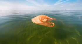 Pourquoi la mer est-elle jaune et verte à Beyrouth ?