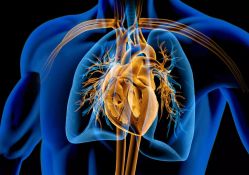 Zakhia Saliba signe une première au Liban : valve pulmonaire sans chirurgie lourde