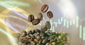 Café: le Brésil pourrait changer la trajectoire des prix