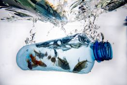 Inventions: le concours Lépine récompense un aspirateur sous-marin de déchets et microplastiques
