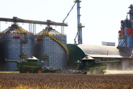 Un mois de guerre au Moyen-Orient: le marché des céréales relativement épargné